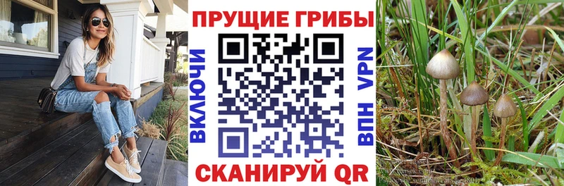 Галлюциногенные грибы MAGIC MUSHROOMS  Верхний Уфалей 