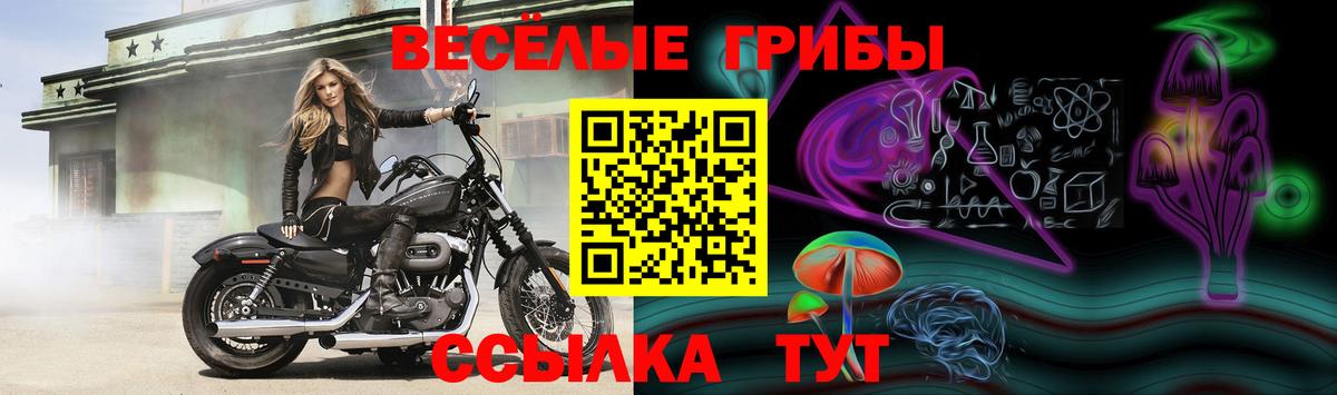 Псилоцибиновые грибы MAGIC MUSHROOMS Верхний Уфалей