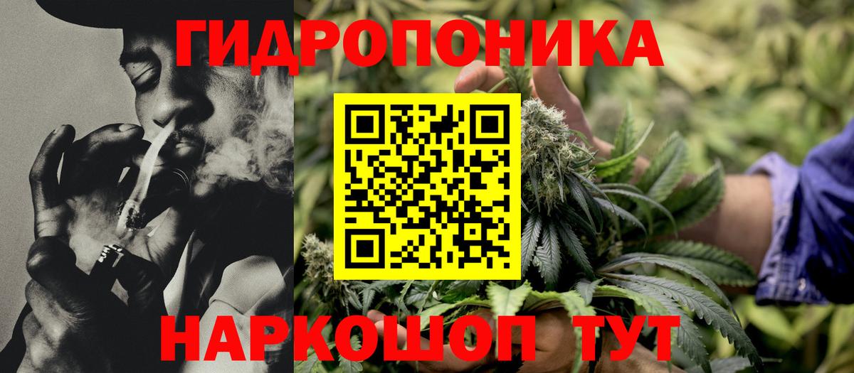 Бошки марихуана OG Kush Верхний Уфалей